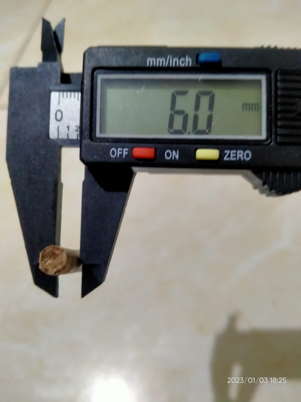 zo-th-1
